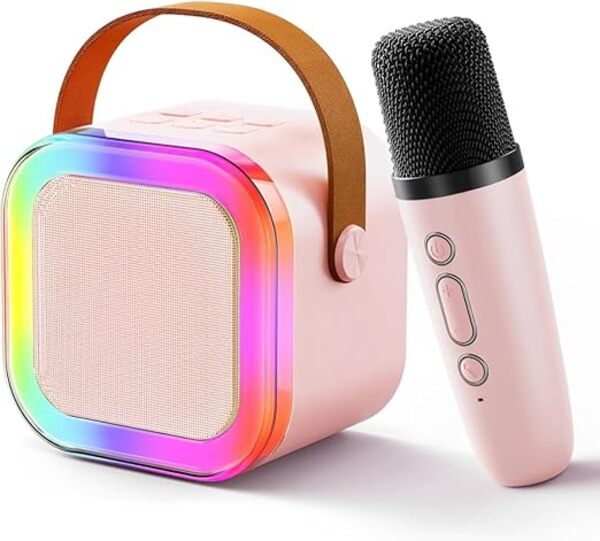 Bluetooth Speaker with 2 Mic: Multi-Compatibility in United Arab Emirates